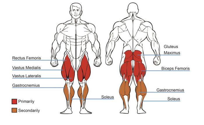 坐式蹬腿香蕉视频黄污